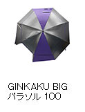 GINKAKU BIG パラソル100
