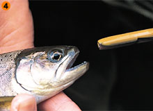 Daiwa ゼロハリハズシ Web Site