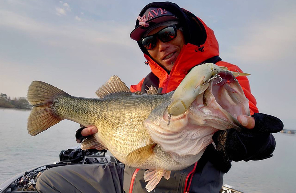 DAIWA ： モンスター ブレイブ Z - Web site