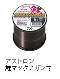 アストロン鯉マックスガンマ