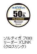 ソルティガ フロロリーダー X’LINK（クロスリンク）