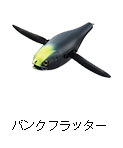 バンクフラッター