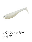 バンクハッカースイマー