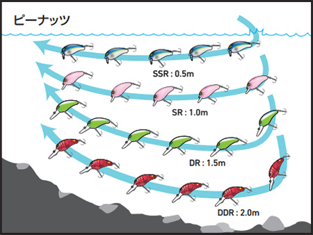 Daiwa ピーナッツ Web Site