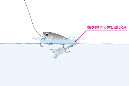 Daiwa スティーズ ポッパー Web Site