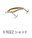 STEEZ シャッド