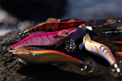 DAIWA ： エメラルダス ピーク - Web site