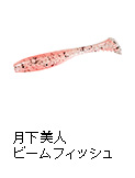 月下美人  ビームフィッシュ