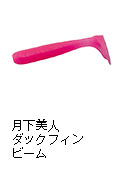 月下美人 ダックフィンビーム