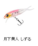 月下美人 しずる