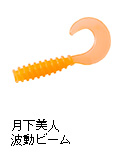 月下美人 波動ビーム