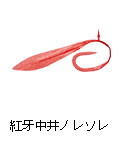 紅牙 中井ノレソレ