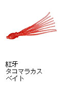 紅牙 タコマラカスベイト