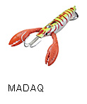 MADAQ（マダク）