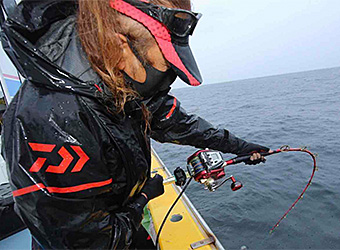 DAIWA ： シーボーグ 800MJS - Web site
