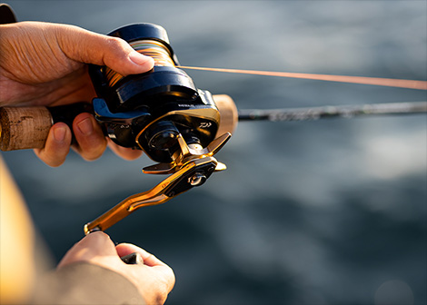 DAIWA : ソルティガ 15 - Web site