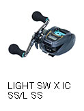 LIGHT SW X IC
