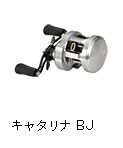 キャタリナ BJ