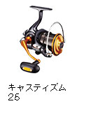 キャスティズム 25