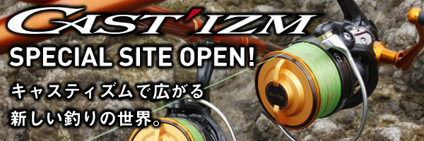 DAIWA ： キャスティズム 25 - Web site