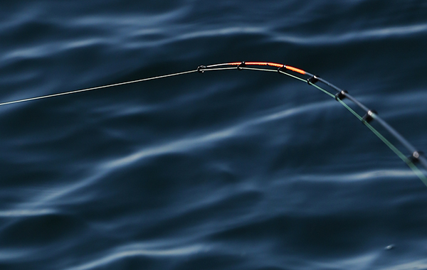 DAIWA ： 銀狼 LBQD - Web site