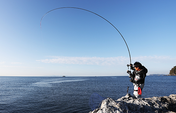 DAIWA ： 銀狼 LBQD - Web site