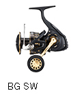 BG SW