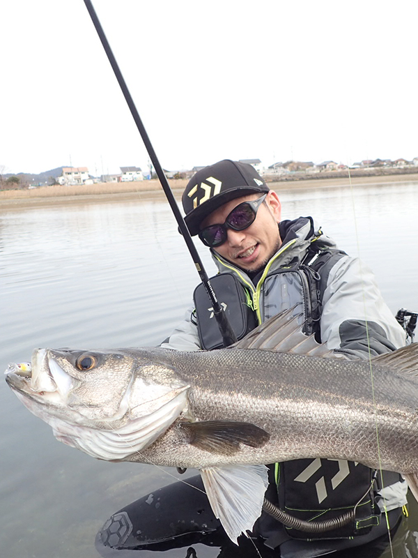 DAIWA : セルテート - Web site