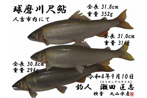 DAIWA ： グランドスリム・W - Web site