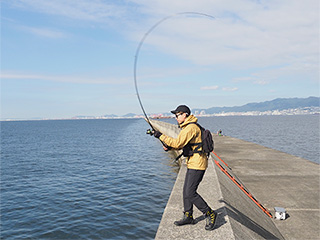 Daiwa モバイルパック Web Site