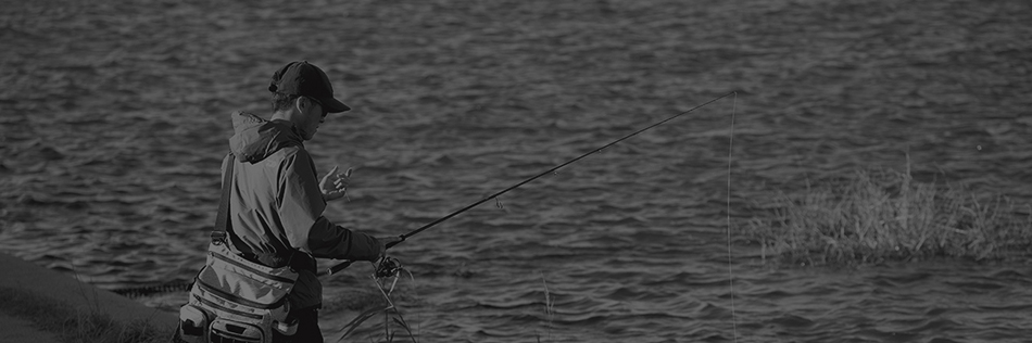 DAIWA ： リベリオン - Web site