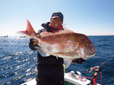 DAIWA ： バイパースティック（2ピースモデル） - Web site