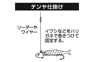 DAIWA ： テンヤタチウオ X - Web site