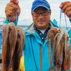 Daiwa アナリスター イカ直結 Web Site