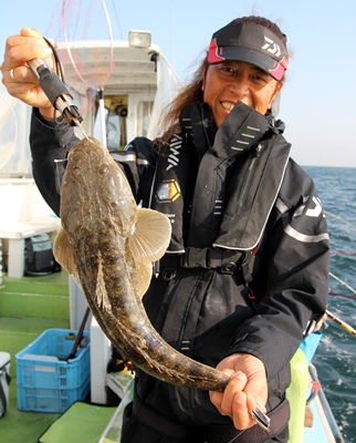 DAIWA ： アナリスター マゴチ - Web site