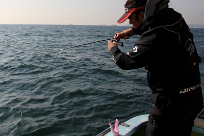DAIWA ： アナリスター マゴチ - Web site