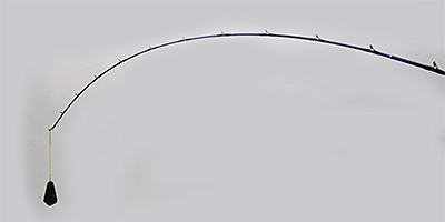 DAIWA ： ゴウイン アオモノ - Web site
