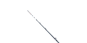 DAIWA ： 極鋭 タチウオゲームRT FR - Web site