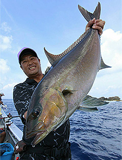 DAIWA ： マッドバイパー ファング - Web site