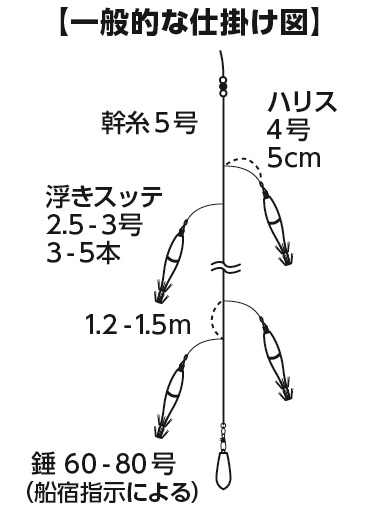Daiwa マイカ X Web Site