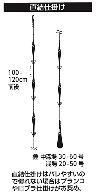 daiwa マルイカ x web site