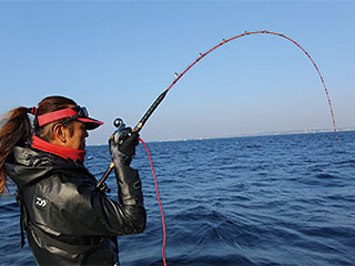 DAIWA ： バイパースティック（1ピースモデル） - Web site