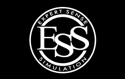 ESS[エキスパートセンスシミュレーション]