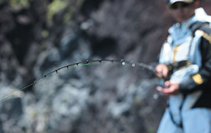 Daiwa 20 Tournament Iso AGS – Isofishinglifestyle