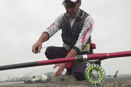 DAIWA ： ブラックジャック スナイパー前打ち - Web site