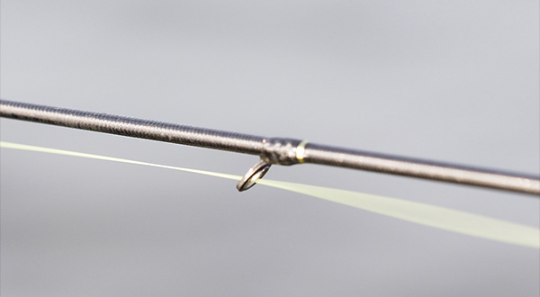 DAIWA : モアザン ブランジーノ EX AGS - Web site