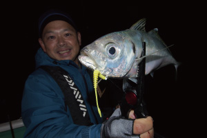 Daiwa 月下美人 Air Ags Ajing Boat Web Site