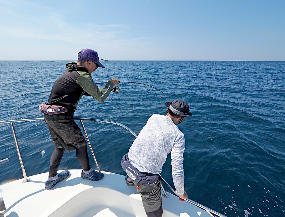 DAIWA ： デッキアクター - Web site
