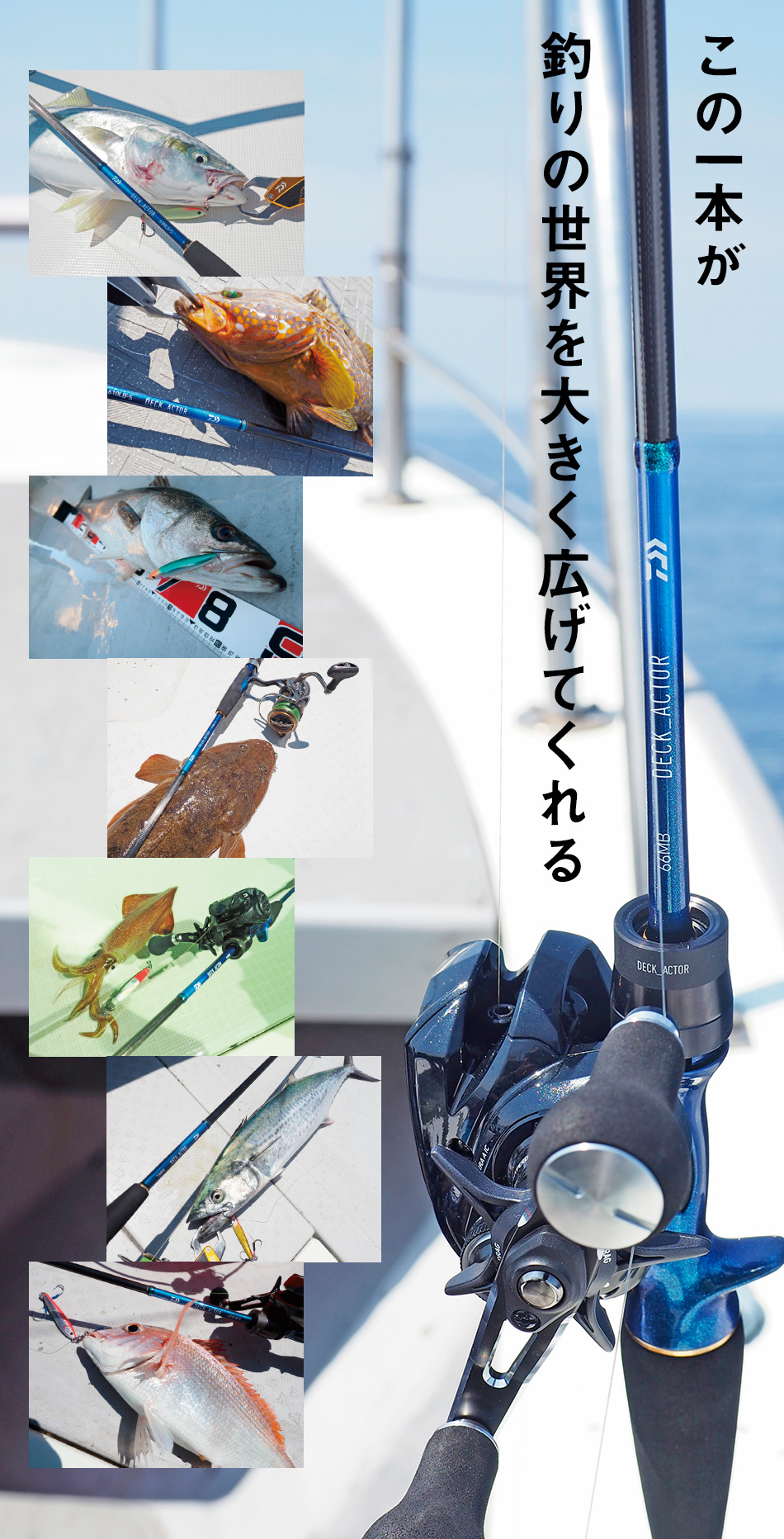 釣り ロッド、釣り竿 DAIWA ： デッキアクター - Web site