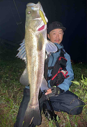 DAIWA ： ラテオ モバイル - Web site